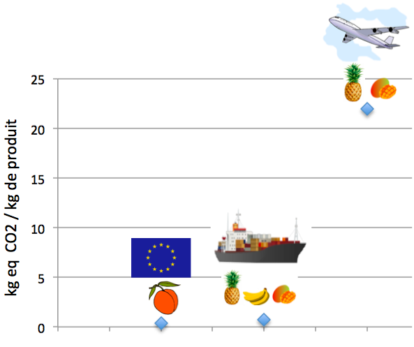 empreinte carbone des fruits importés par avion